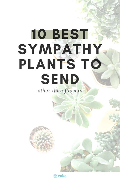 Plants With A Message .